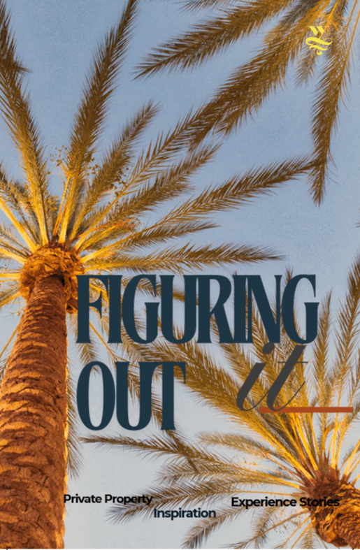 Cover — Figuring It Out